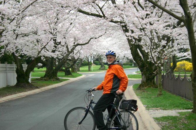 Washington DC Cherry Blossoms By Bike Tour - Customer Reviews and Feedback