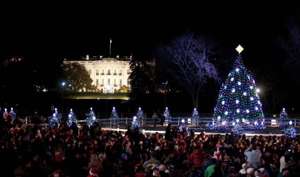 Washington, DC: Holiday Lights Nighttime Bus Tour - Common questions