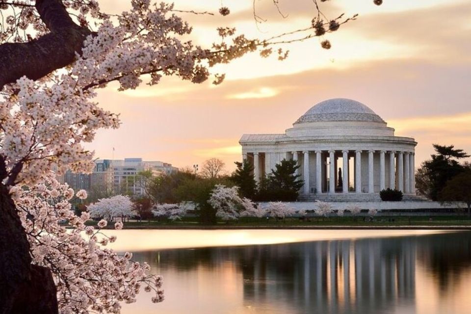 Washington DC: Private Custom Tour With a Local Guide - Product Details