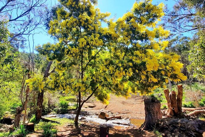 Waterfalls, Wildflowers & Wandoo Hiking Experience - Safety and Preparation Tips