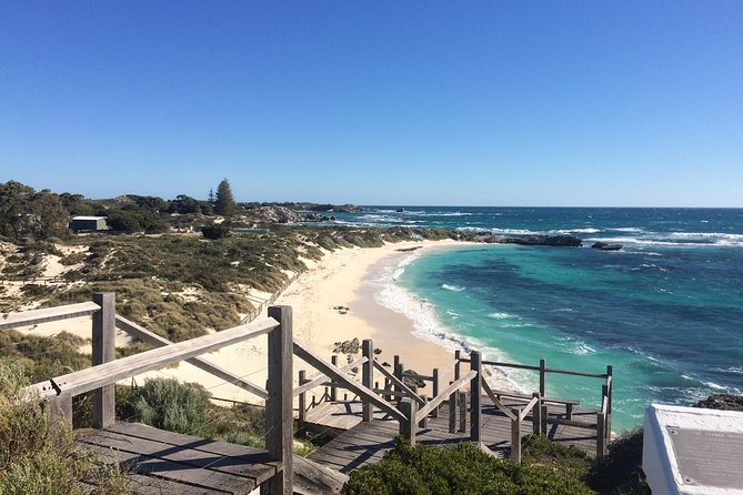 Wave Rock & Rottnest Island - Air & Ground Tour - Customer Reviews