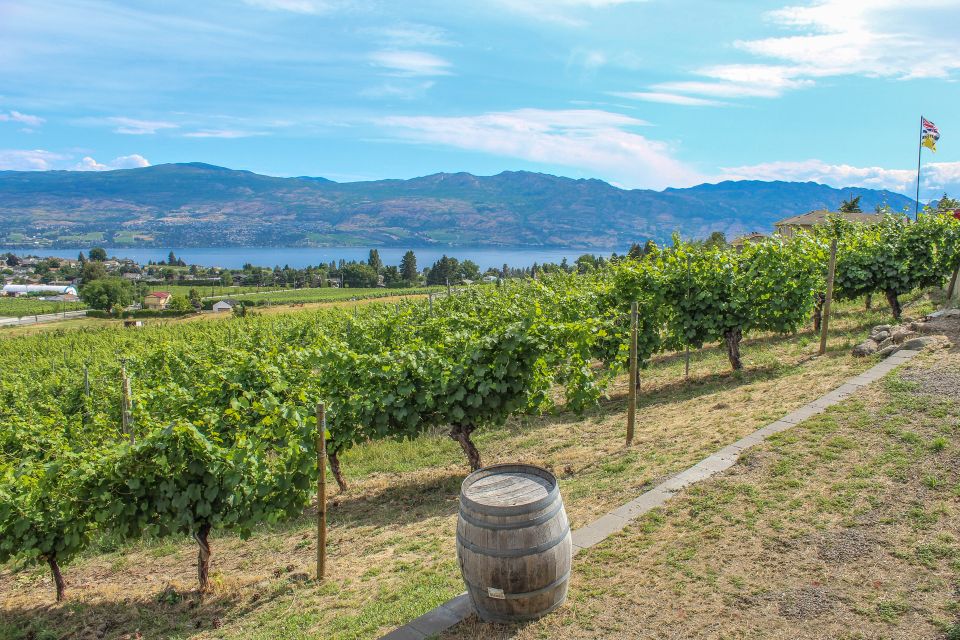 West Kelowna: Afternoon Sightseeing and Wine Tour - Customer Experience Insights