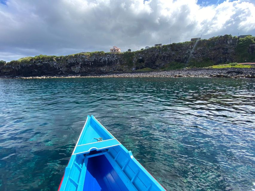 Whale Memory - Unforgetable Ride in the Waters of Pico - Eco-Friendly Adventure on the Water