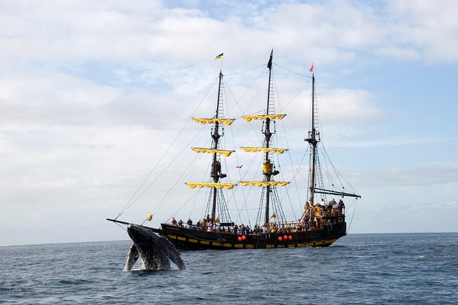 Whale-Watching Pirate Ship Cruise in Los Cabos - Additional Tour Information