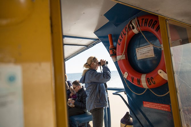 Whale-Watching Tour From Vancouver - Tour Experience