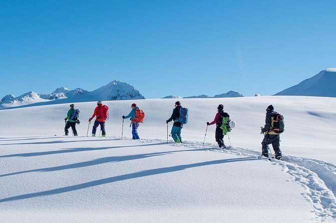 Whistler Backcountry Skiing and Splitboarding - Local Guide Expertise