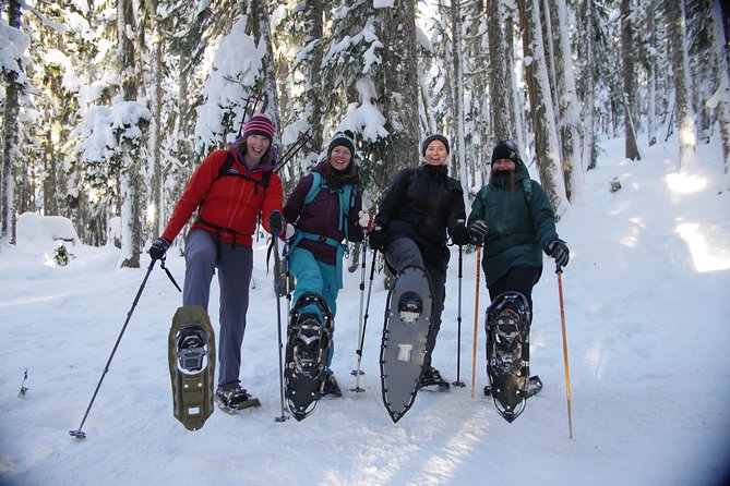 Whistler Small-Group Full-Day Snowshoe Tour - Tour Itinerary