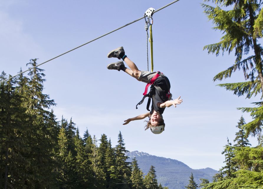 Whistler Zipline Experience: Ziptrek Bear Tour - Important Information