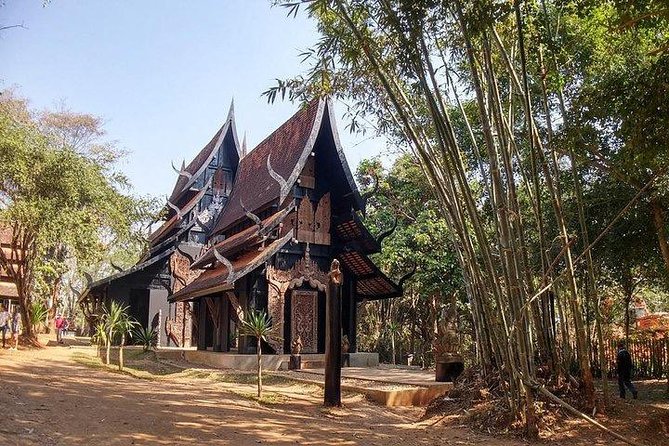 White Temple, Black House Museum and Hot Spring Tour From Chiang Mai - Tour Guide Information
