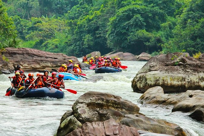 White Water Rafting in Kitulgala - Customer Reviews and Ratings