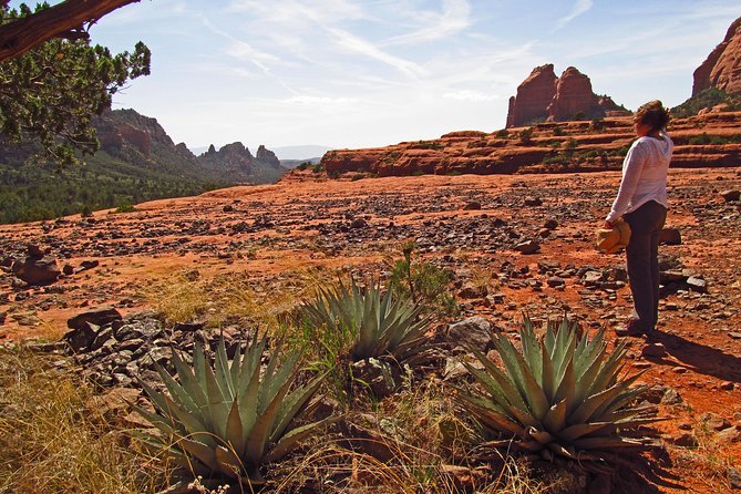 Whole-Day Sedona Vortex Experience - Background