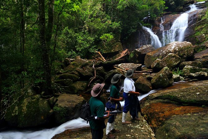 Wild Wonders Of Sri Lanka 7 Days - Day 5: Visit to Tea Plantations in Nuwara Eliya