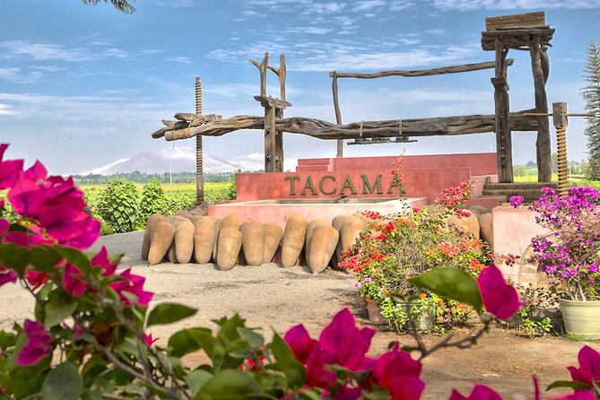 Wine and Pisco Tasting Experience by Caravedo and Tacama in Ica - Viator Booking Information