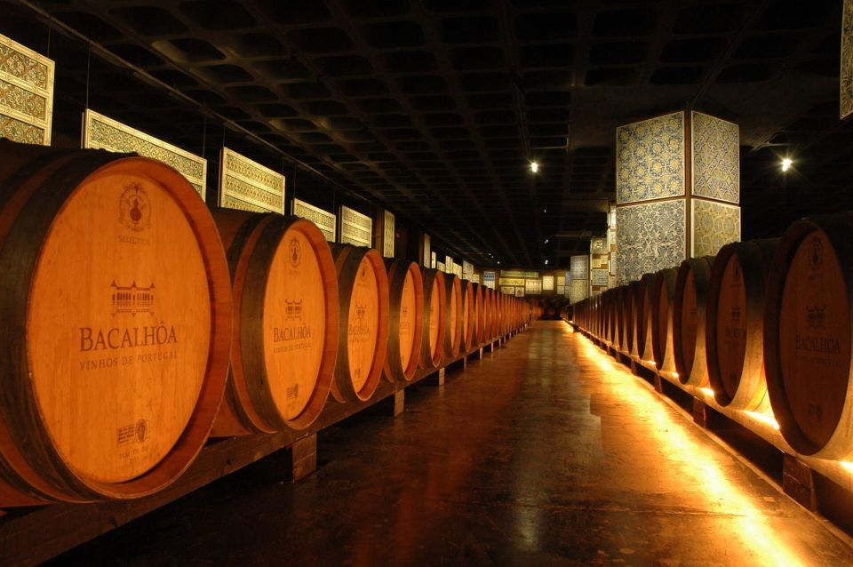 Wine Experience in Setúbal: Discover Flavors and Landscapes - Preparation Tips