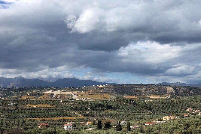 Wine Tasting Experience of Cretan Wines With a Wine Pro - Pairing Cretan Wines With Local Cuisine