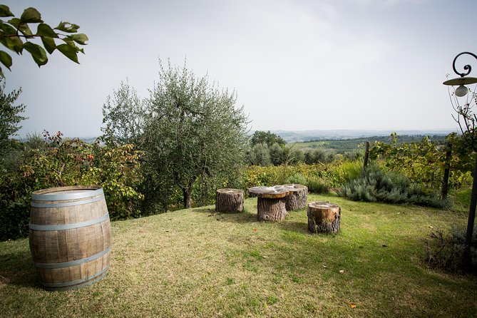 Wine Tour Experience at Agricola Tamburini - Cancellation Policy