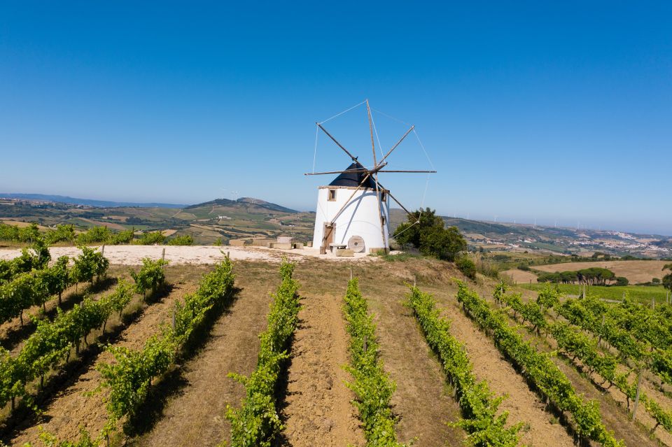 Wine Tour From Lisbon With Tastings & Winemaker for a Day - Full Description of the Wine Tour