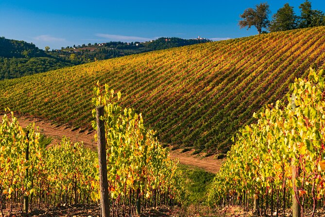 Wineries Tour and Wine Tastings in Chianti Hills From Florence - Additional Information