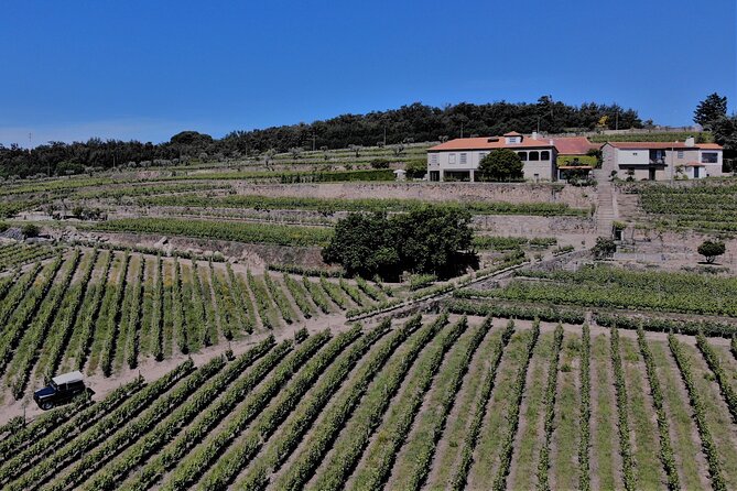 Winery Tour and Wine Tasting Quinta Da Portela De Baixo in Lamego - Accessibility Details