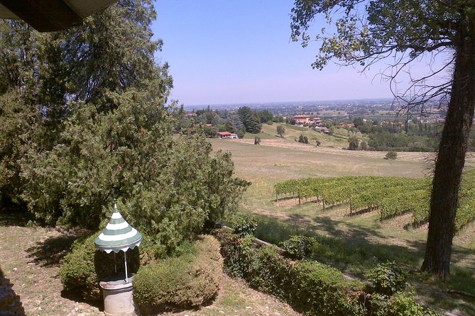 Winetour and Tasting on Bologna Hills, Guided by the Wine Grower - Directions to the Manaresi Wine Estate