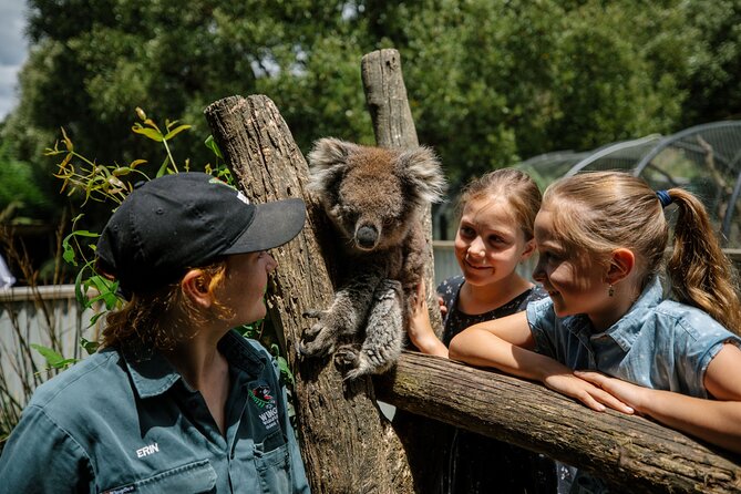 Wings Wildlife Park Tour With Burnie Attractions Bus - Additional Information