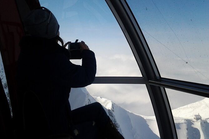 Winter Majesty: Private Mount Pilatus Experience From Zürich - Pricing Information