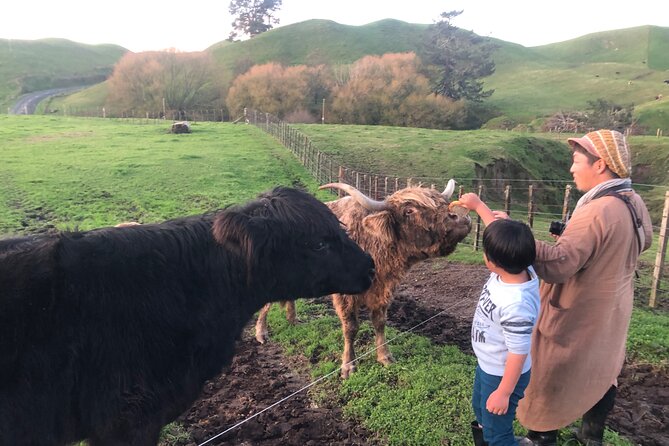 Wool Sheep Farm Experience With Handmade Wool Hat in New Zealand - Logistics