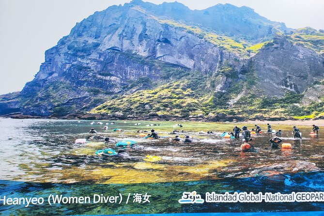 World Natural Heritage East Tour in Jeju (Cherry Blossoms Tour) ) - Tour Inclusions