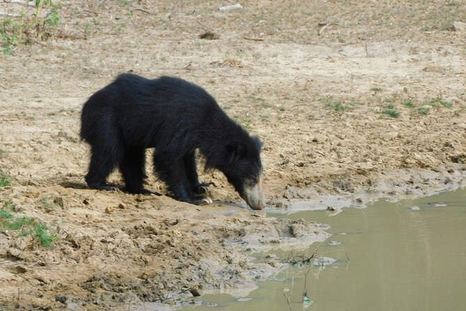 Yala National Park Private Full-Day Safari With Transfers  - Hambantota - Last Words