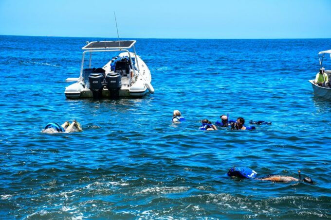 Yelapa Escape & Snorkeling in Puerto Vallarta by Speedboat - Highlights