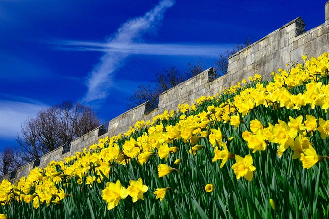 York Small-Group Evening Walking Tour With Guide - Meeting Details