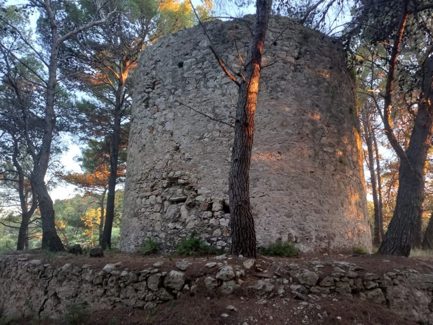 Zadar: Half-Day Boat Trip to Ošljak Island, Galevac & Ugljan - Participant Selection and Date