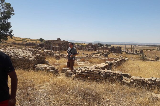 Zaghouan, Thuburbo Majus and Dougga Private Guided Tour From Tunis - Tour Experience Highlights