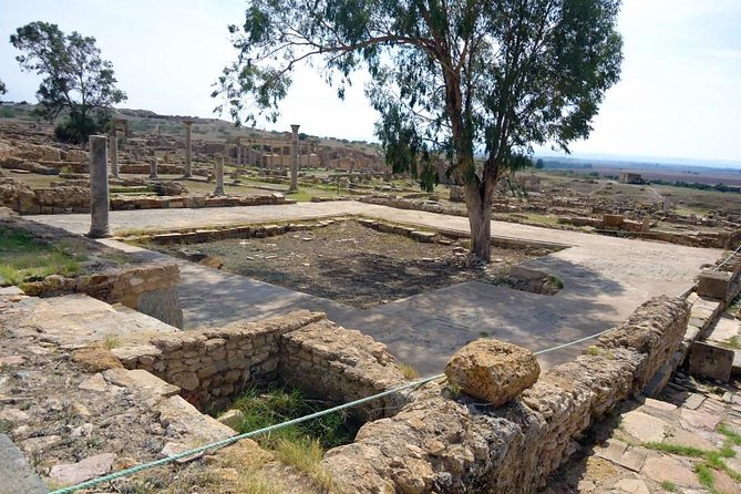 Zaghouan, Thuburbo Majus and Dougga Private Self-Guided Excursion From Hammamet - Cancellation Policy and Refund Details