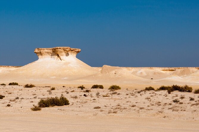 Zekreet Rock Formation, Richard Serra Tour & Camel Race Tour - Thrilling Camel Race Tour Adventure