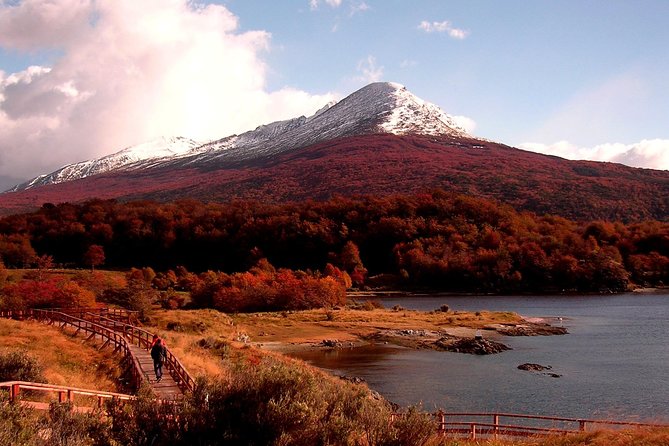 5.5-Hour Nat Park W/ Hiking *Shore Excursion* USHUAIA (Shared Tour for Cruises) - Tour Location and Duration