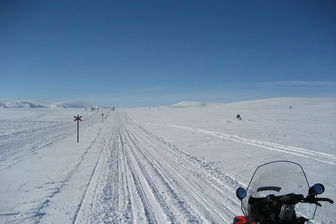 5-Day Snowmobile Expedition in Swedish Lapland - Key Points