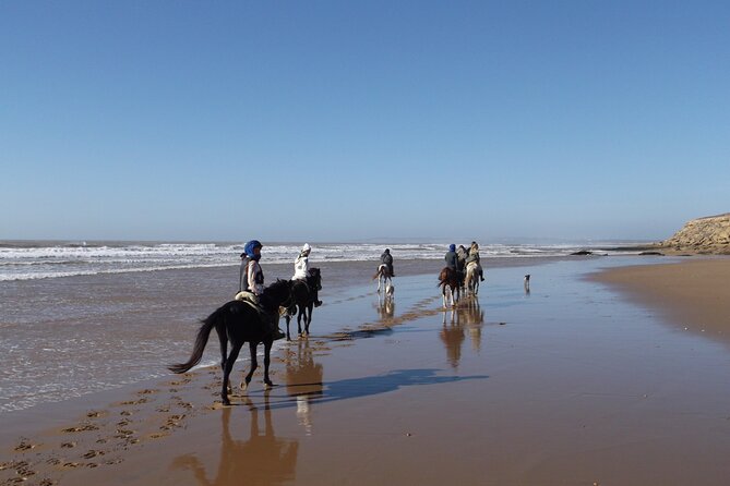 1 Day Horseback Ride With Lunch - Reviews and Booking Details