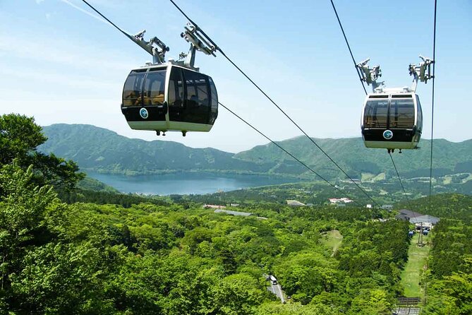 1 Day Private Tour in Mt.Fuji and Hakone English Speaking Driver - Meal Options