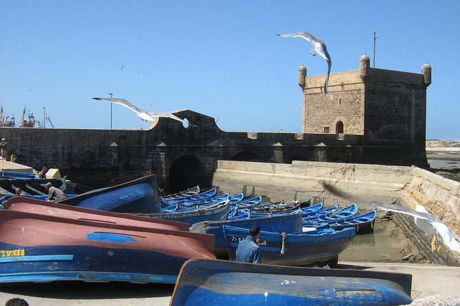 1 Day Private Trip From Marrakech to Essaouira - Provider Information