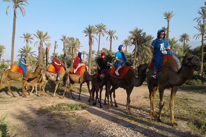 1-Hour Camel Ride in La Palmeraie Marrakech With Hotel Pick up - Additional Information