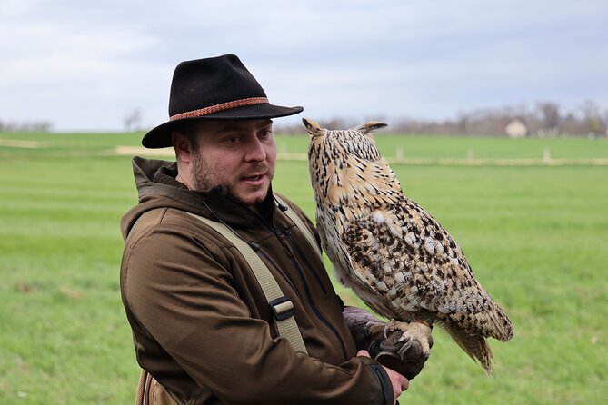 1 Hour Falconry/Hawk Experience in Basel Region - Directions