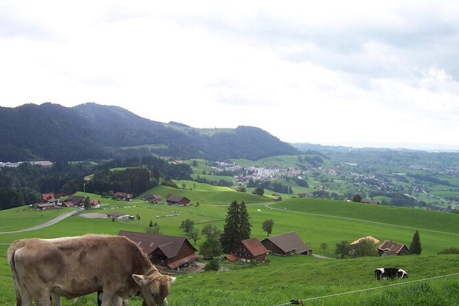 11-Day Private Lite Tour Across Switzerland by Bike From Geneve - Cycling Routes