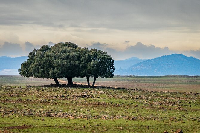 12-Day Private Tour in Morocco With Food and Wine - Culinary Experiences