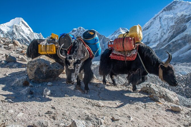 14 Days Private Tour Everest Base Camp Trek - Packing List Essentials