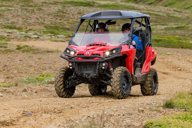 1hr Buggy Adventure & Whale Watching From Reykjavik - Weather Considerations