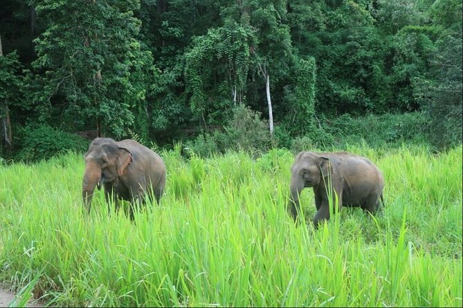 2 Day Adventure of Elephants Sanctuary Jungle Trek & Bamboo Raft - Travel Logistics