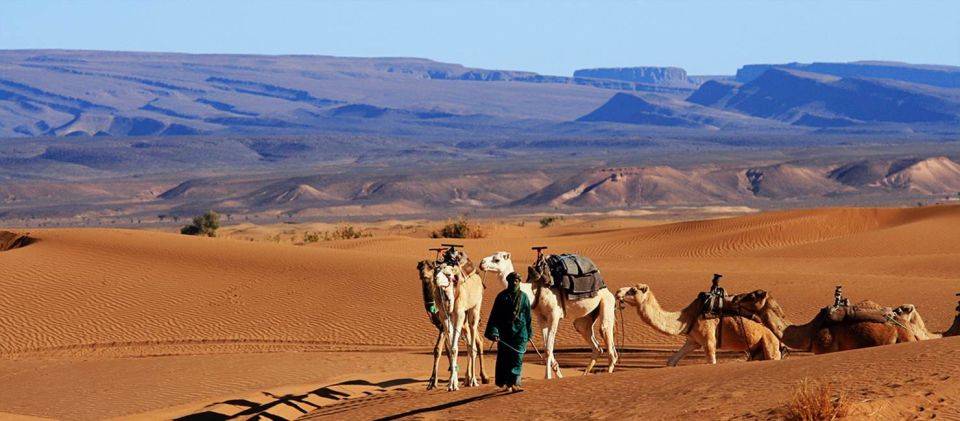 2-Day Desert Tour From Marrakech to Zagora Desert - Sunset Camel Caravan and Desert Camp