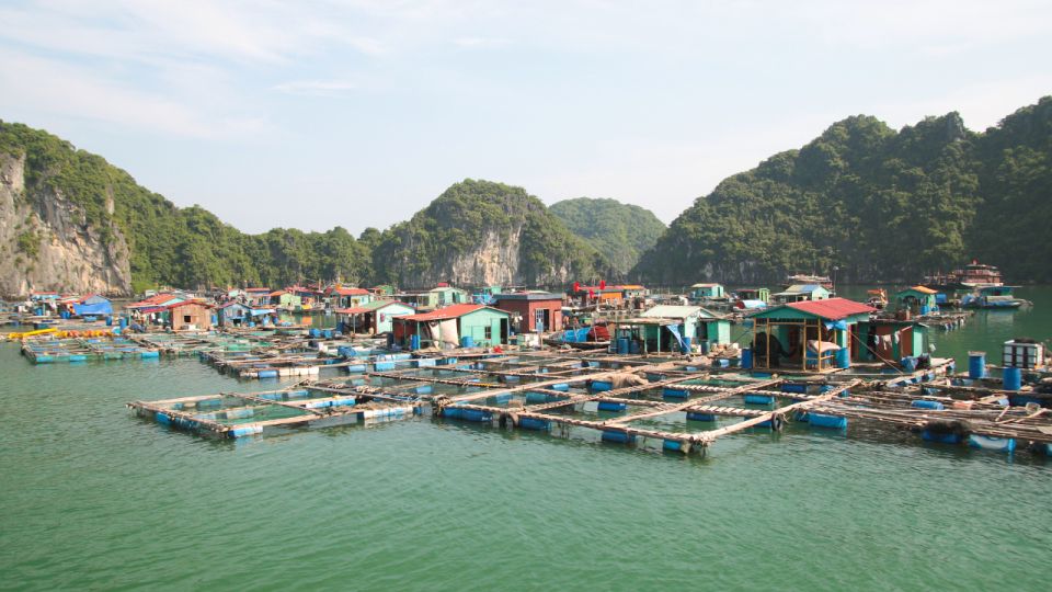2-Day Ha Long Bay Cruise With Activities - Day 2 Adventures