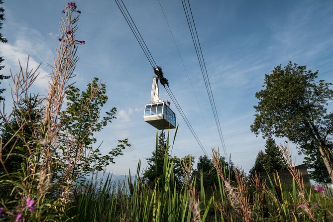 2-Day Mt Rigi Tour From Zurich Including Mineral Baths and Lake Lucerne Cruise - Common questions